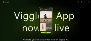 Viggle AI